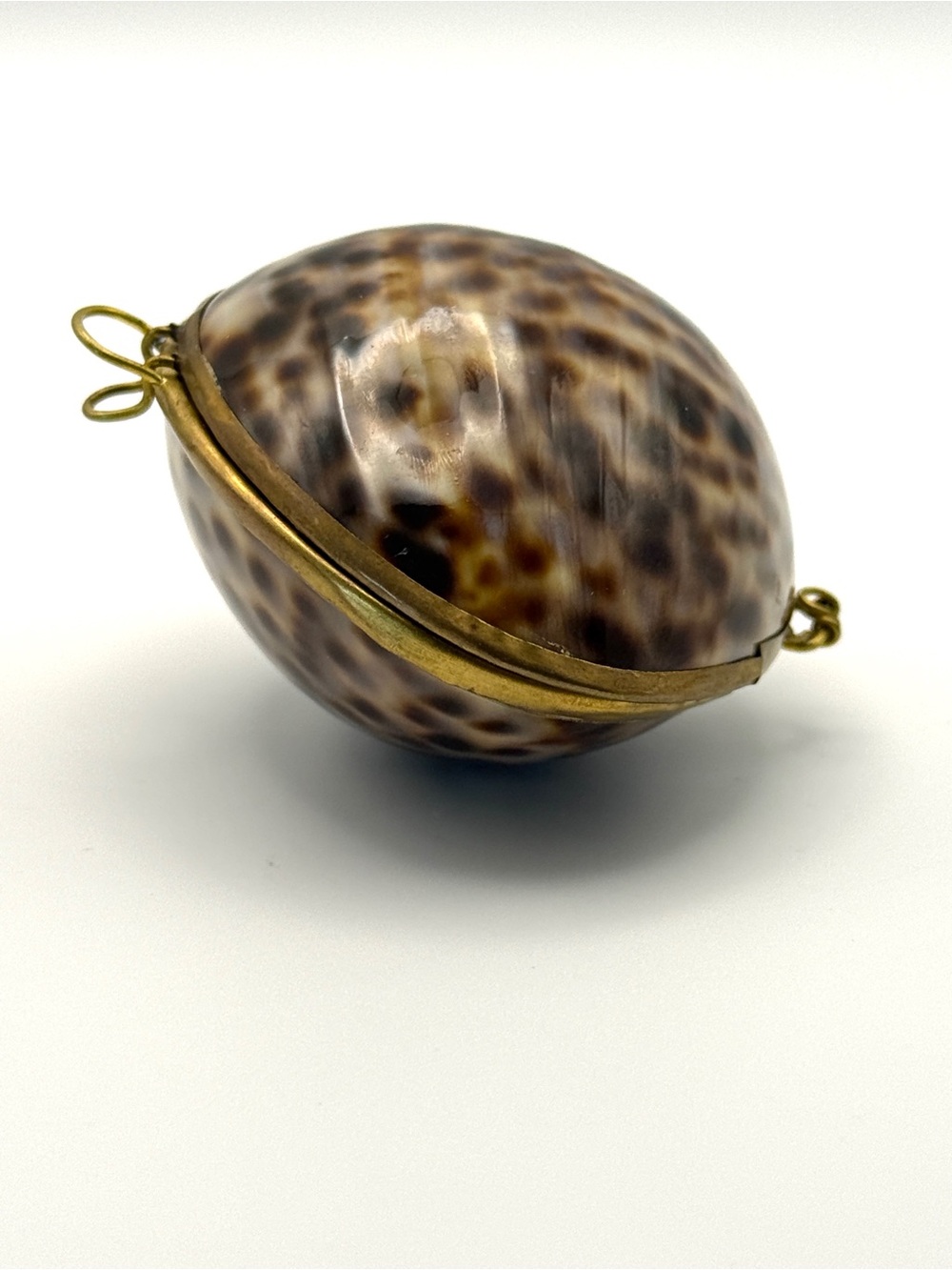 Tiger Cowrie Shell Trinket Box with Brass Hinge Vintage